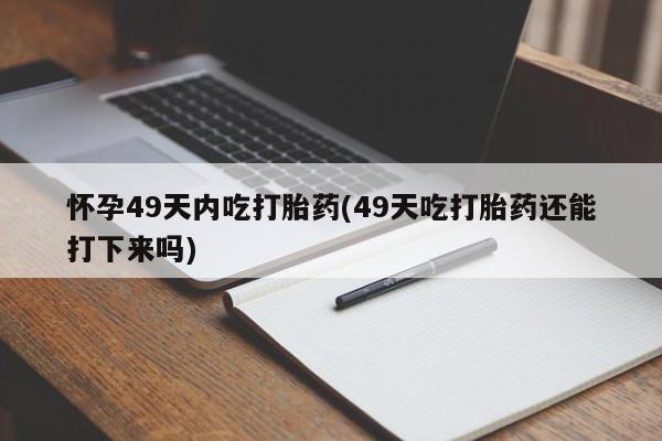admin 第543页